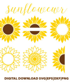 sunflower bundle