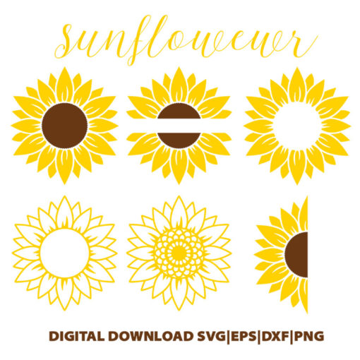 sunflower bundle
