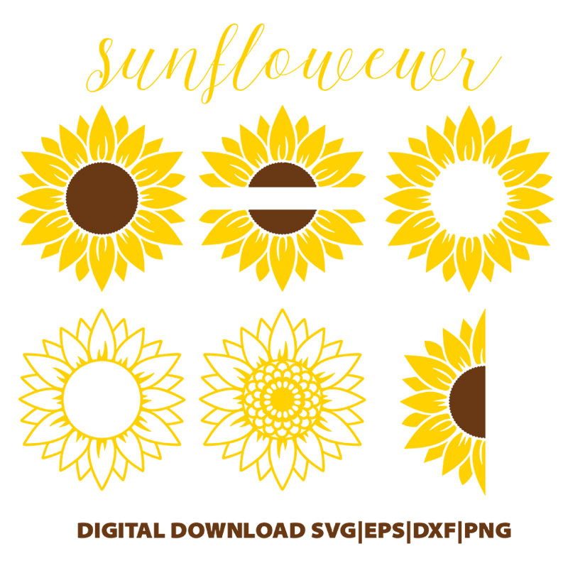 Free Free Vintage Sunflower Svg SVG PNG EPS DXF File
