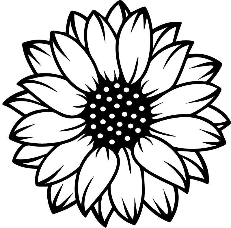 Free Free 111 Half Sunflower Svg Black And White SVG PNG EPS DXF File