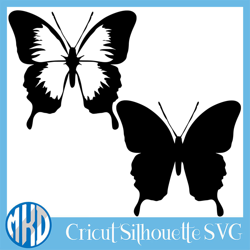 Butterfly svg png free