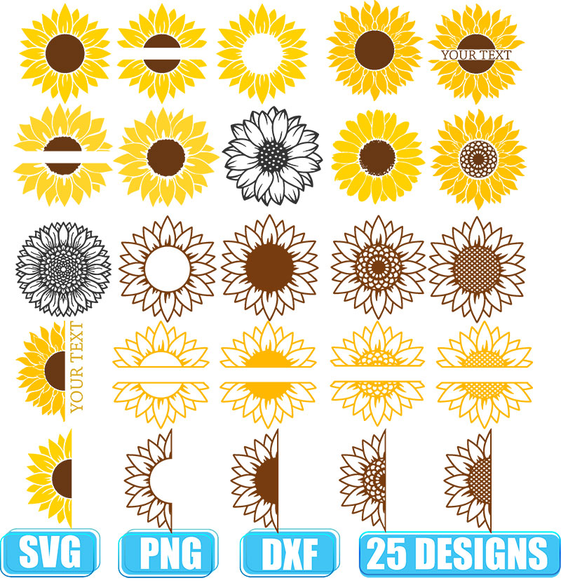 Sunflower SVG Bundle, Sunflower SVG, Flower Svg, Monogram Svg