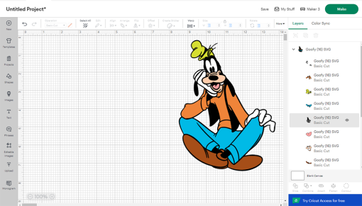 Goofy ciruct